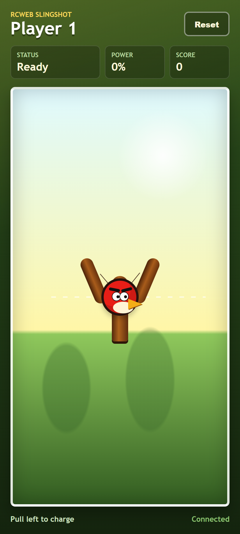 First bird launched