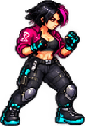 Your fighter