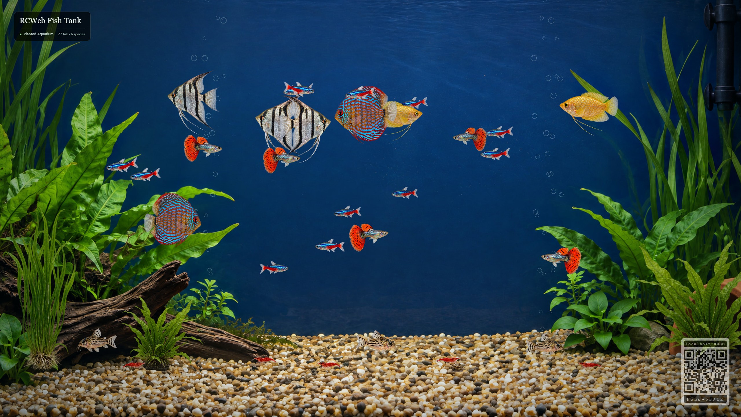 Planted Aquarium
