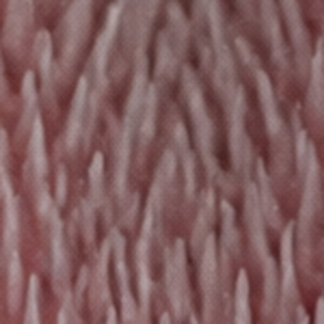A mystery object shown very close up